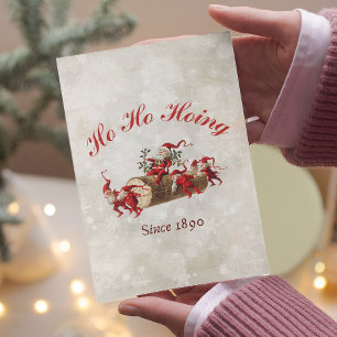 Ho Ho Hoing sinds 1890  kabouters kerst Kussen