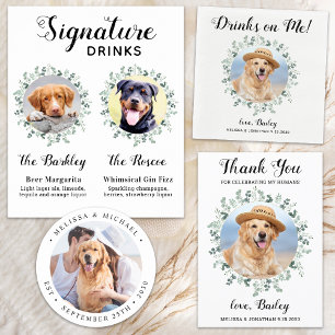Begroting Eucalyptus Pet Wedding Dog bewaart de da