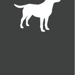 Labrador Baby shower Gender Neutral Lab Kaart