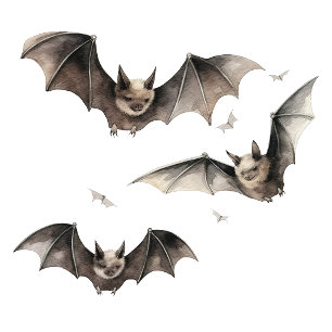 Zwarte Pompoenen Fijne Halloween Mok