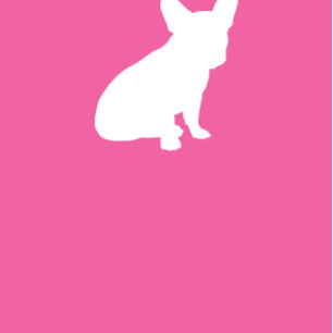 Franse buldog Baby shower franchie roze meisje Kaart