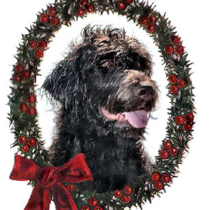 Labradoodle kerstcadeaus feestdagen kaart