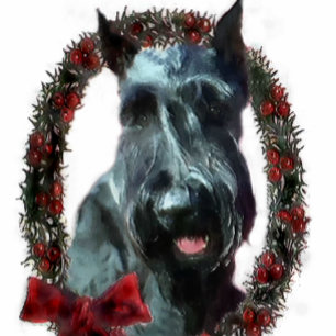 Giant Schnauzer kerstcadeautjes Feestdagen Kaart