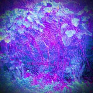 Orb Weaver, Sierkussen