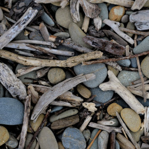 Strand stenen Driftwood bruiloft Kaart