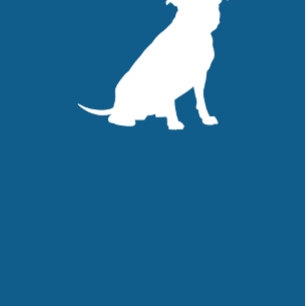 Pit Bull Dog Baby shower Blue Boy Pitbull Kaart