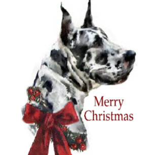 Harlequin Great Dane-kerstcadeaus Feestdagen Kaart