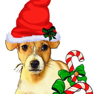 Jack Russell Terrier Christmas Feestdagenkaart