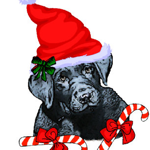 Labrador Retriever Christmas Feestdagenkaart
