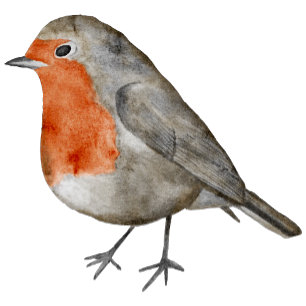 Redborst Robin Bird Modern Fotofoto Feestdagenkaart