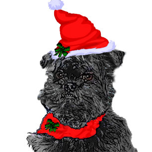 Affenpinscher Kerst Kaarten Gepersonaliseerd