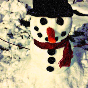 Noorderlicht & Meteoren Winterscape Vakantie Kaart