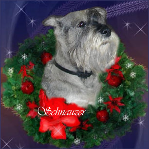 Standard Schnauzer-kerstcadeautjes Feestdagen Kaart