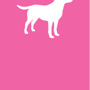 Labrador Dog Baby shower Lab roze meisje Kaart