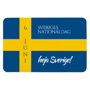 Sveriges Nationaldag Zweedse Nationale Dag Vlag Magneet