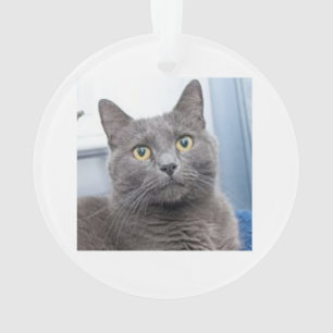 Sving Grace Kerstversier Ornament