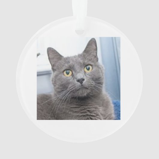 Sving Grace Kerstversier Ornament (achterkant)