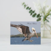 SW Florida Pelican Briefkaart (Staand voorkant)