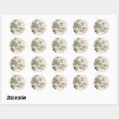SW Rosen und Schmetterlinge Ronde Sticker (Vel)