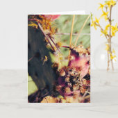 SW Textures Title Frame Kaart (Gele Bloem)