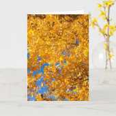 SW Textuur #4 Kaart (Gele Bloem)