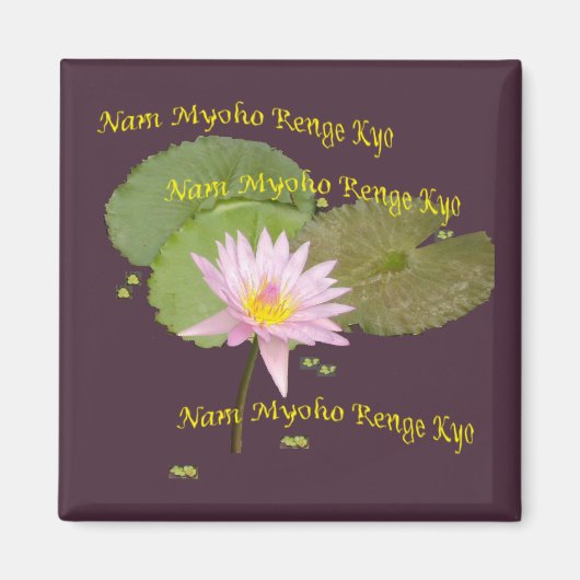 Swaaj NMRK Magneet (Voorkant)