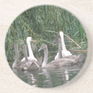 Swabs en Cygnets Onderzetters