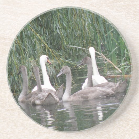 Swabs en Cygnets Onderzetters (Voorkant)