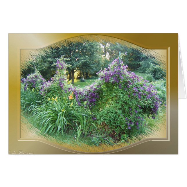 Swagged Clematis ~ Card (Voorkant Horizontaal)