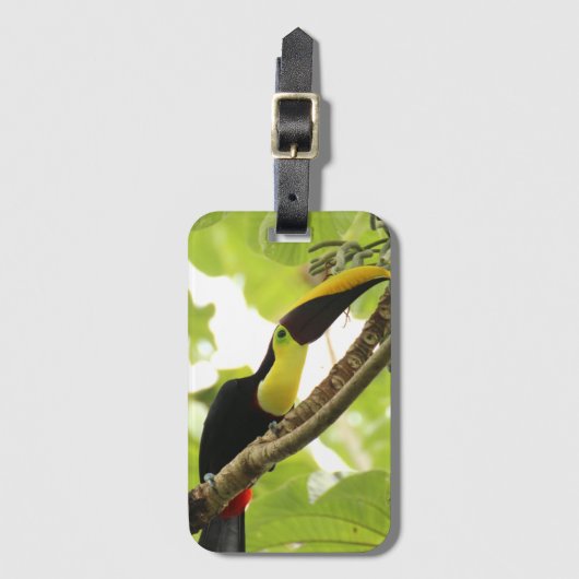 Swainson Toucan Exotic Bird Bagagelabel (Voorkant (verticaal))