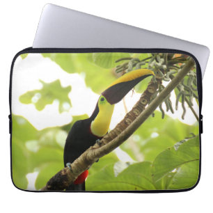 Swainson Toucan Exotic Bird Laptop Sleeve