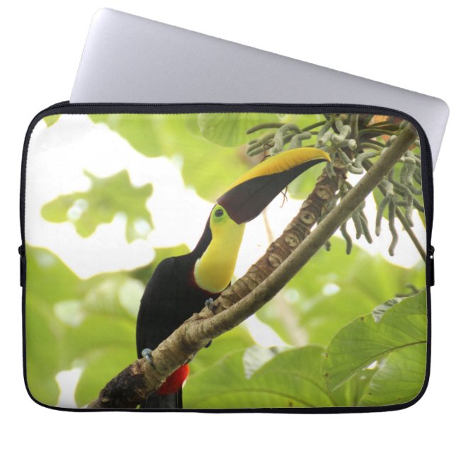 Swainson Toucan Exotic Bird Laptop Sleeve (Voorkant)