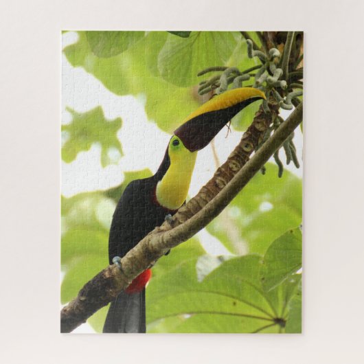 Swainson Toucan Exotic Bird Legpuzzel (Verticaal)