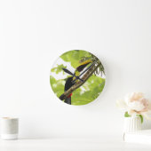 Swainson Toucan Exotic Bird Ronde Klok (Huis)