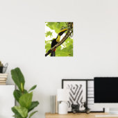 Swainson Toucan Poster (Thuiskantoor)
