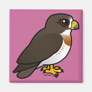 Swainson's Hawk Magneet