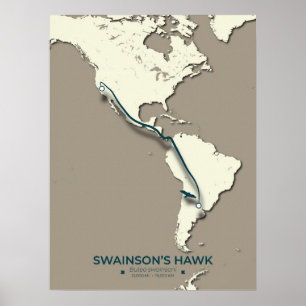 Swainson's Hawk-migratiekaart - minimalistische Vi Poster