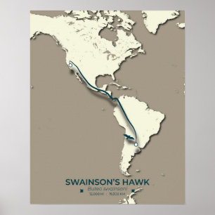 Swainson's Hawk-migratiekaart - minimalistische Vi Poster