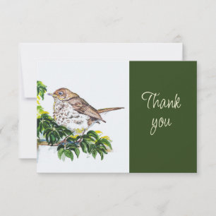 Swainson's lijster vogel natuur aquarel Dank je Bedankkaart