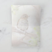 Swainson's spits kaart (Binnen)