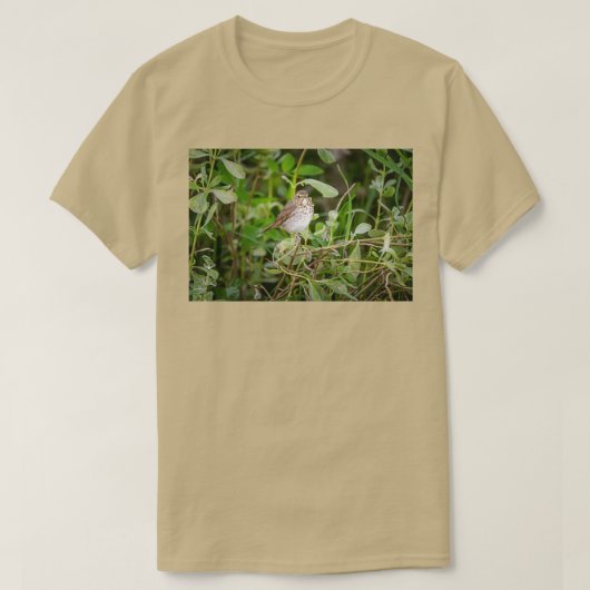 Swainsons Thrush T-shirt (Design voorkant)