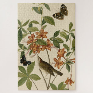 Swainson's Warbler uit Audubon's Birds of America Legpuzzel