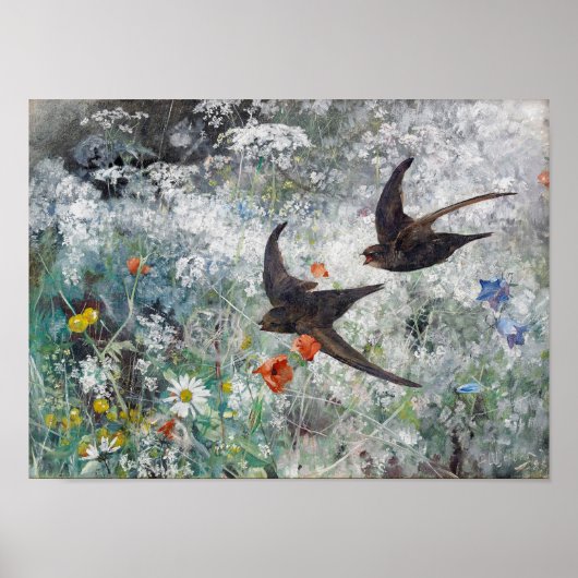 Swallow and Flower Field, Bruno Liljefors Poster (Voorkant)