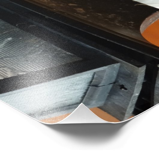 Swallow Bird op een Lamp Professionele Fotoprint Foto Afdruk (Hoek)