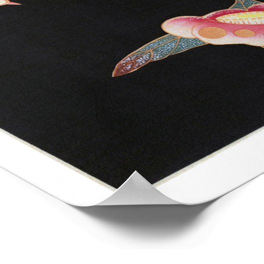 Swallow en Camellia, Jakuchüu Poster (Hoek)