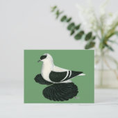 Swallow Pigeon Saxon Zwart Wit Bar Briefkaart (Staand voorkant)