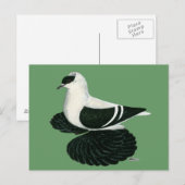 Swallow Pigeon Saxon Zwart Wit Bar Briefkaart (Voorkant / Achterkant)