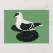 Swallow Pigeon Saxon Zwart Wit Bar Briefkaart (Voorkant)