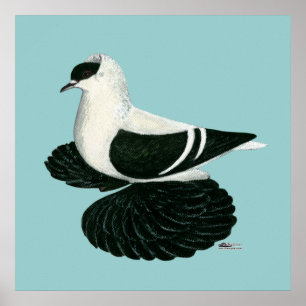 Swallow Pigeon Saxon Zwart Wit Bar Poster