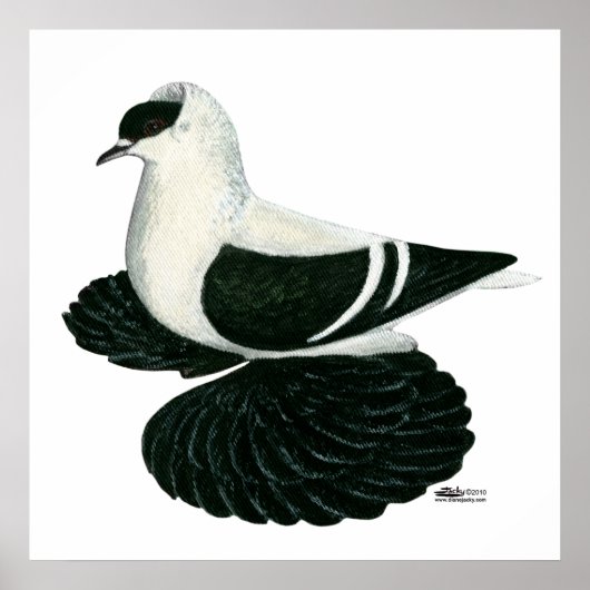 Swallow Pigeon Saxon Zwart Wit Bar Poster (Voorkant)